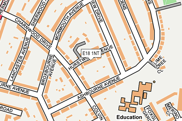 E18 1NT map - OS OpenMap – Local (Ordnance Survey)