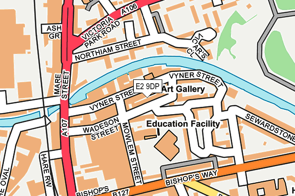 E2 9DP map - OS OpenMap – Local (Ordnance Survey)