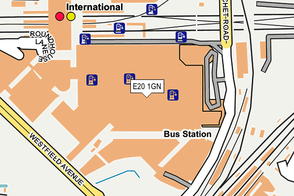 E20 1GN map - OS OpenMap – Local (Ordnance Survey)