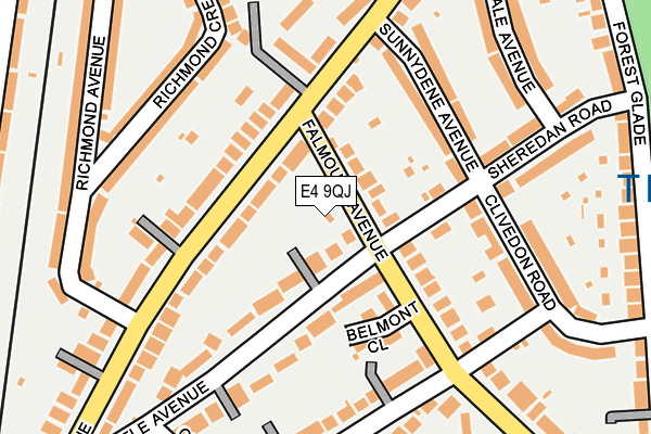 E4 9QJ map - OS OpenMap – Local (Ordnance Survey)