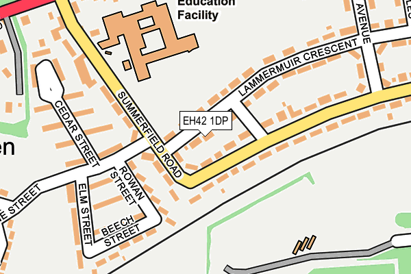 EH42 1DP map - OS OpenMap – Local (Ordnance Survey)
