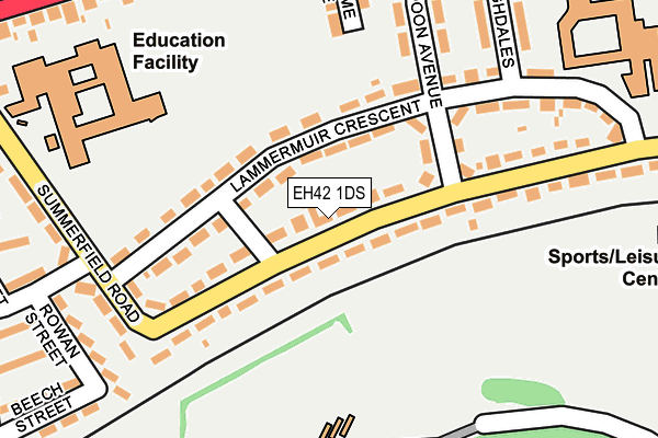 EH42 1DS map - OS OpenMap – Local (Ordnance Survey)