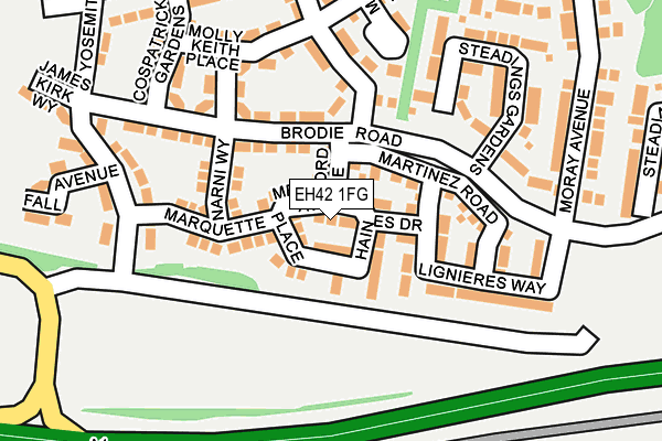 EH42 1FG map - OS OpenMap – Local (Ordnance Survey)