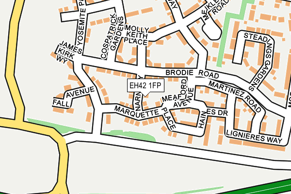 EH42 1FP map - OS OpenMap – Local (Ordnance Survey)