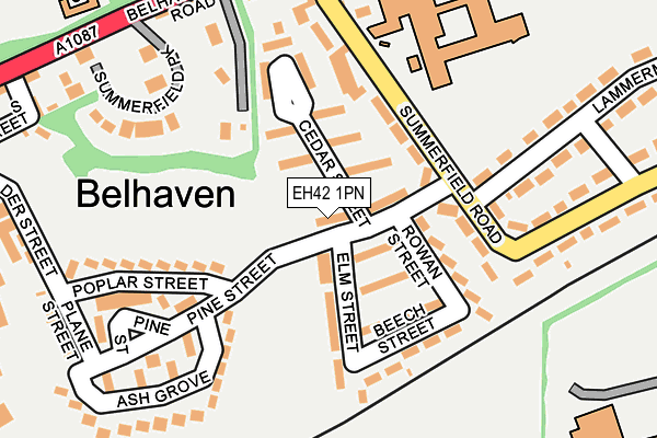 EH42 1PN map - OS OpenMap – Local (Ordnance Survey)