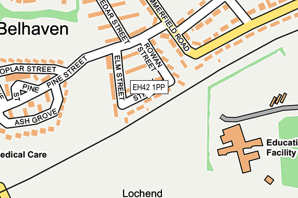 EH42 1PP map - OS OpenMap – Local (Ordnance Survey)