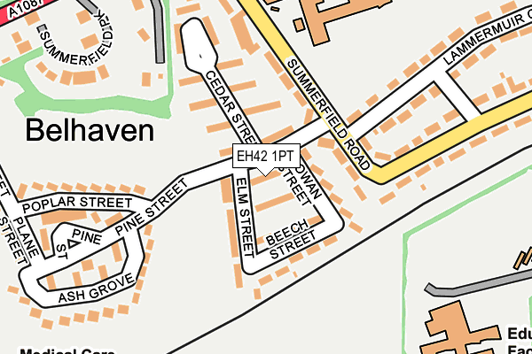 EH42 1PT map - OS OpenMap – Local (Ordnance Survey)