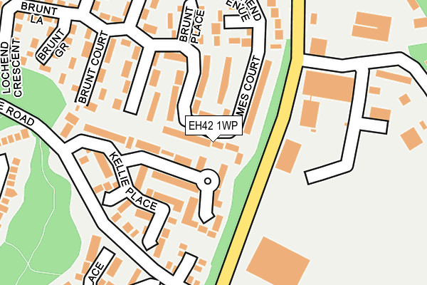 EH42 1WP map - OS OpenMap – Local (Ordnance Survey)