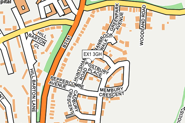 EX1 3GH map - OS OpenMap – Local (Ordnance Survey)