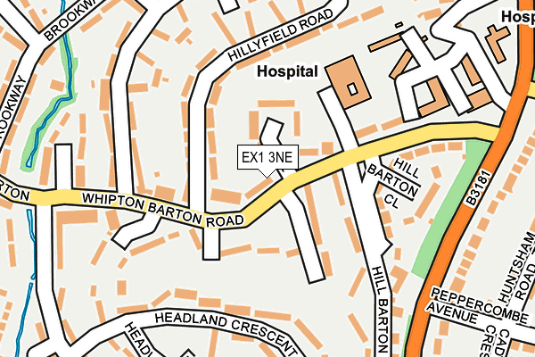 EX1 3NE map - OS OpenMap – Local (Ordnance Survey)