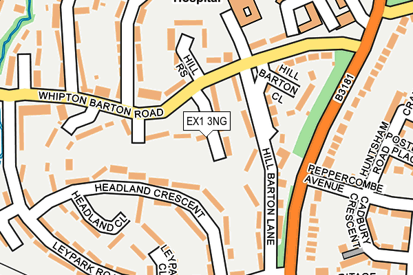 EX1 3NG map - OS OpenMap – Local (Ordnance Survey)
