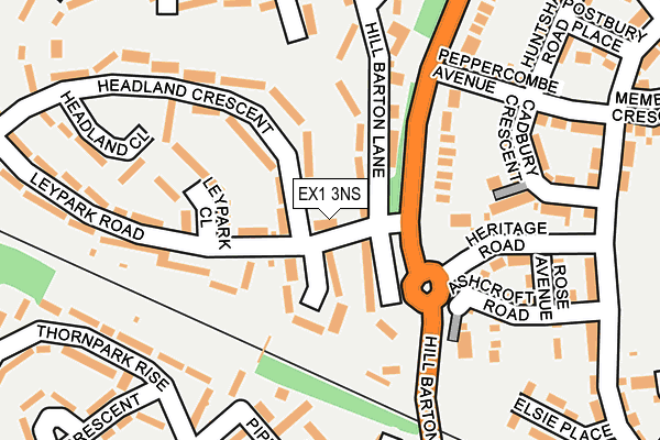 EX1 3NS map - OS OpenMap – Local (Ordnance Survey)