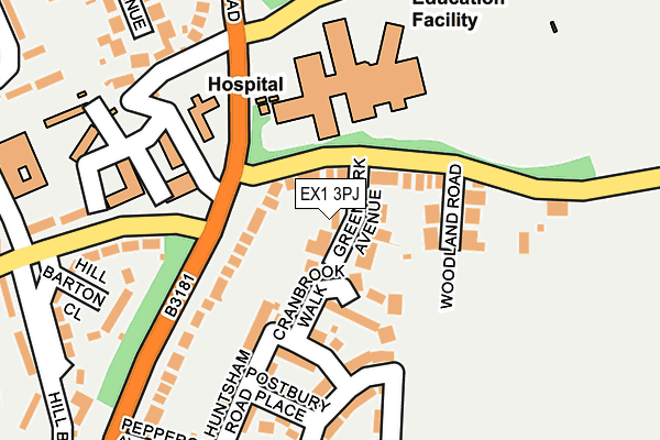 EX1 3PJ map - OS OpenMap – Local (Ordnance Survey)