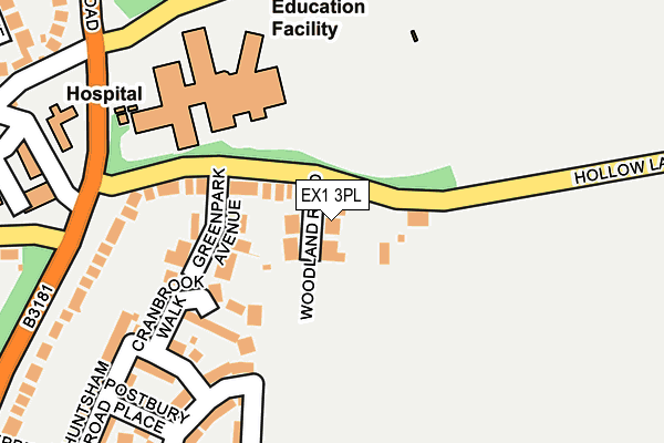 EX1 3PL map - OS OpenMap – Local (Ordnance Survey)