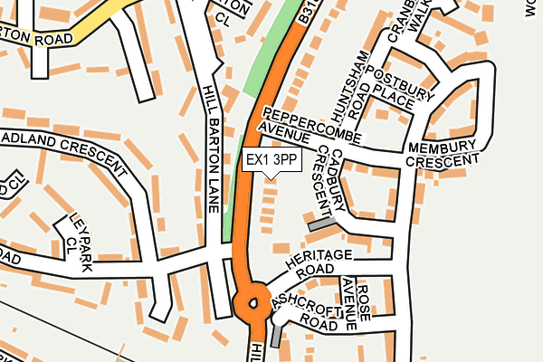 EX1 3PP map - OS OpenMap – Local (Ordnance Survey)