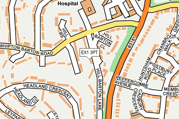 EX1 3PT map - OS OpenMap – Local (Ordnance Survey)