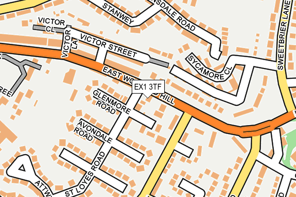 EX1 3TF map - OS OpenMap – Local (Ordnance Survey)