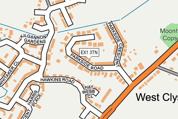 EX1 3TN map - OS OpenMap – Local (Ordnance Survey)