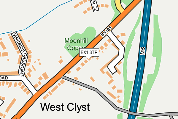 EX1 3TP map - OS OpenMap – Local (Ordnance Survey)