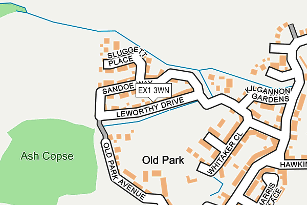 EX1 3WN map - OS OpenMap – Local (Ordnance Survey)