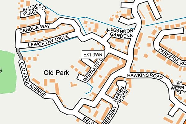 EX1 3WR map - OS OpenMap – Local (Ordnance Survey)