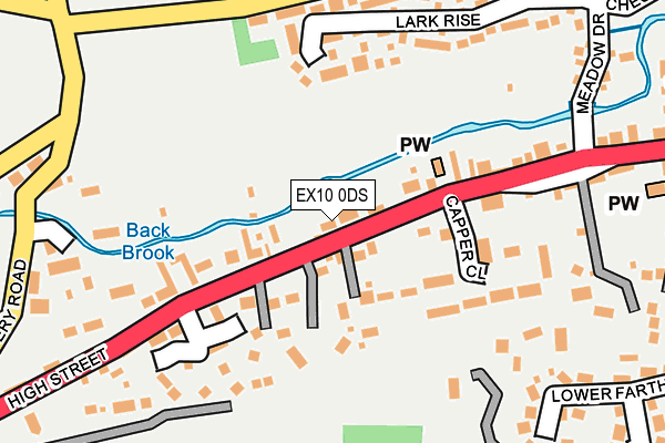 EX10 0DS map - OS OpenMap – Local (Ordnance Survey)