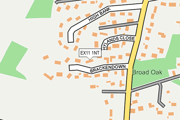 EX11 1NT map - OS OpenMap – Local (Ordnance Survey)