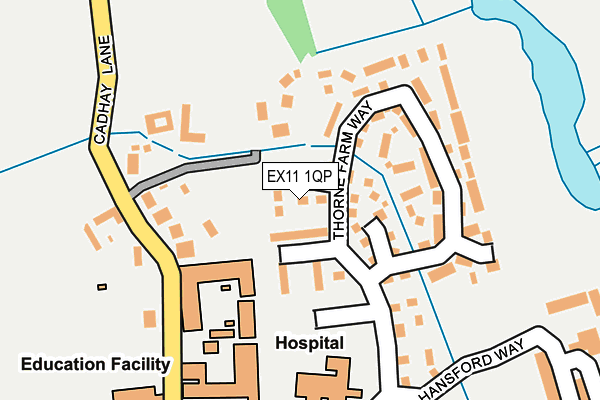 EX11 1QP map - OS OpenMap – Local (Ordnance Survey)