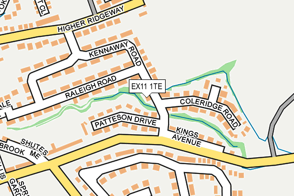 EX11 1TE map - OS OpenMap – Local (Ordnance Survey)