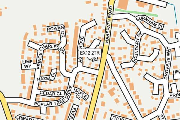 EX12 2TR map - OS OpenMap – Local (Ordnance Survey)