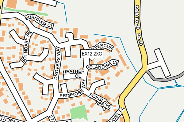 EX12 2XG map - OS OpenMap – Local (Ordnance Survey)