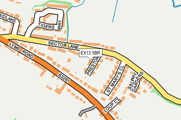 EX13 5BR map - OS OpenMap – Local (Ordnance Survey)