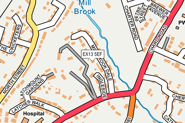 EX13 5EF map - OS OpenMap – Local (Ordnance Survey)