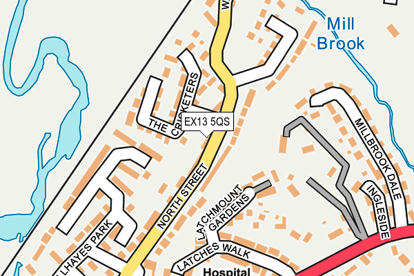 EX13 5QS map - OS OpenMap – Local (Ordnance Survey)