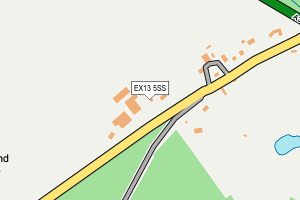 EX13 5SS map - OS OpenMap – Local (Ordnance Survey)