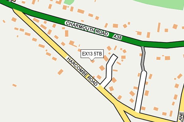 EX13 5TB map - OS OpenMap – Local (Ordnance Survey)