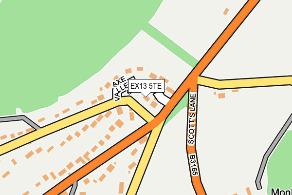EX13 5TE map - OS OpenMap – Local (Ordnance Survey)
