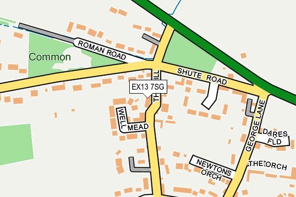 EX13 7SG map - OS OpenMap – Local (Ordnance Survey)