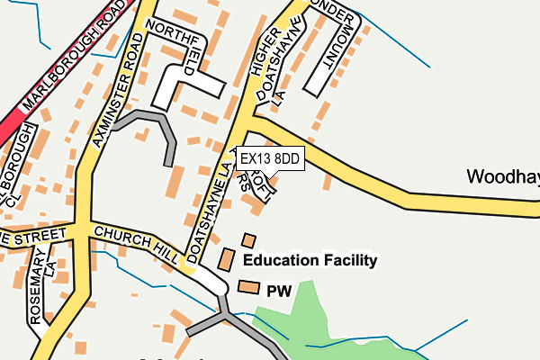 EX13 8DD map - OS OpenMap – Local (Ordnance Survey)