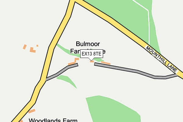 EX13 8TE map - OS OpenMap – Local (Ordnance Survey)