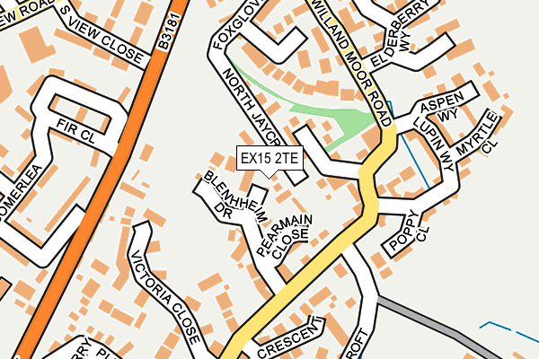 EX15 2TE map - OS OpenMap – Local (Ordnance Survey)