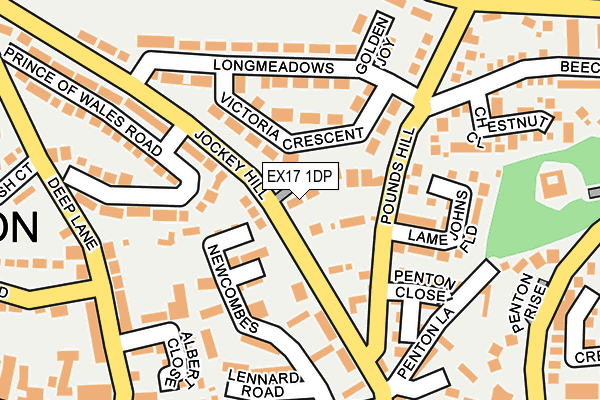 EX17 1DP map - OS OpenMap – Local (Ordnance Survey)
