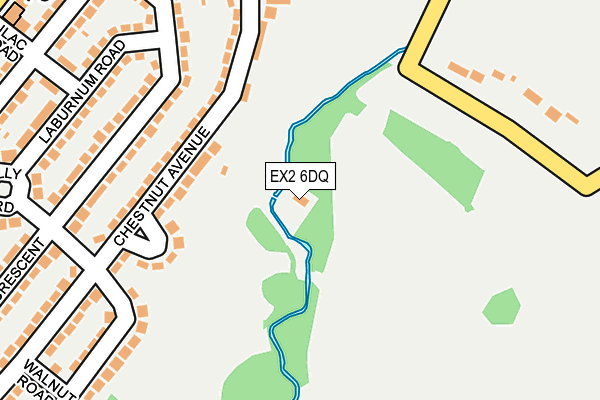 EX2 6DQ map - OS OpenMap – Local (Ordnance Survey)