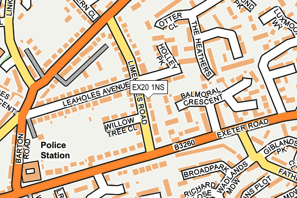 EX20 1NS map - OS OpenMap – Local (Ordnance Survey)