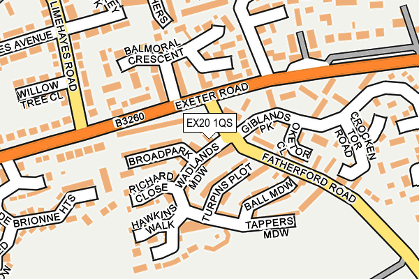 EX20 1QS map - OS OpenMap – Local (Ordnance Survey)