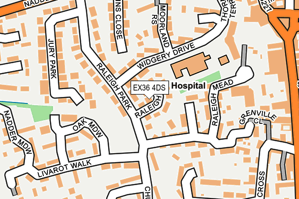 EX36 4DS map - OS OpenMap – Local (Ordnance Survey)