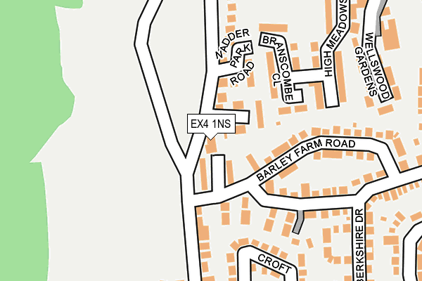 EX4 1NS map - OS OpenMap – Local (Ordnance Survey)