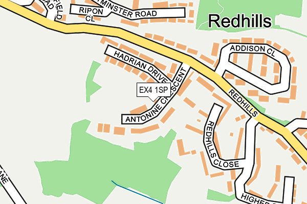 EX4 1SP map - OS OpenMap – Local (Ordnance Survey)