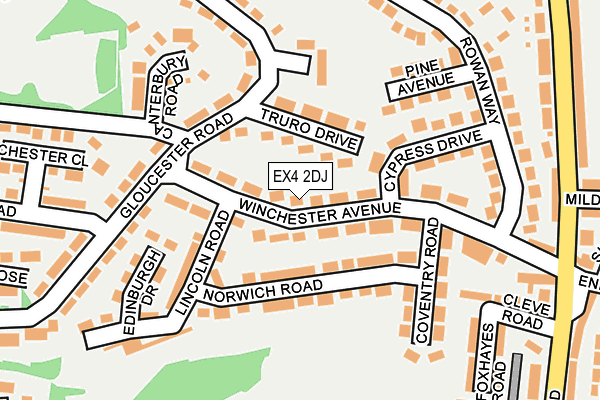 EX4 2DJ map - OS OpenMap – Local (Ordnance Survey)