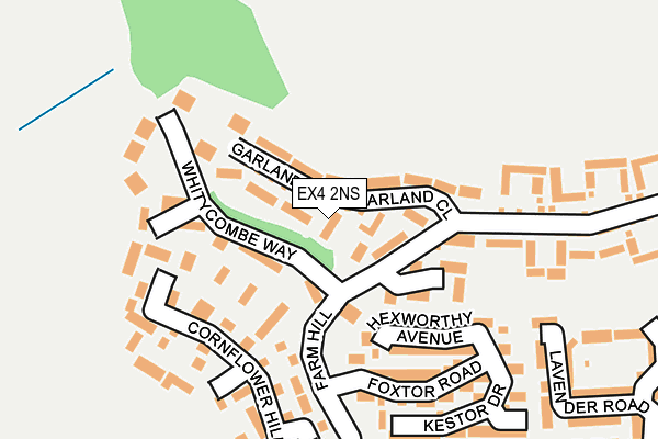 EX4 2NS map - OS OpenMap – Local (Ordnance Survey)